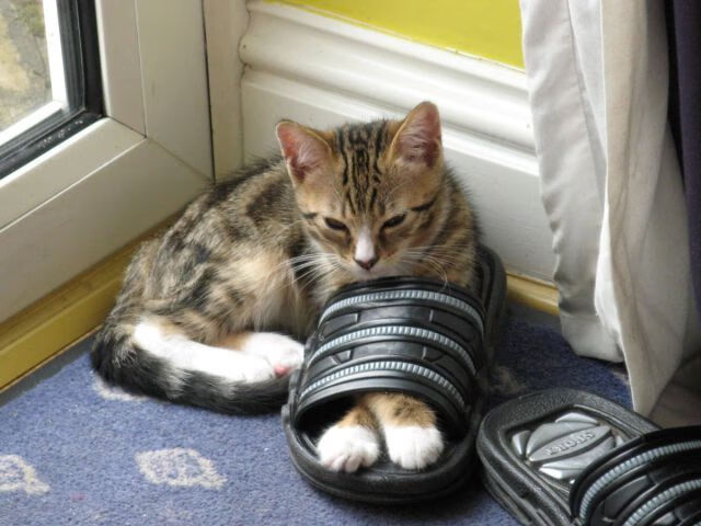 2020赛季:库里全场命中4+三分球,帮助勇士赶超鹈鹕,季后赛再获声望!